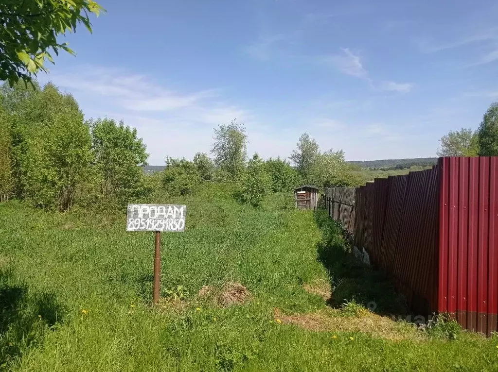 Участок в Пермский край, Кунгурский муниципальный округ, д. Щелканы  ... - Фото 1