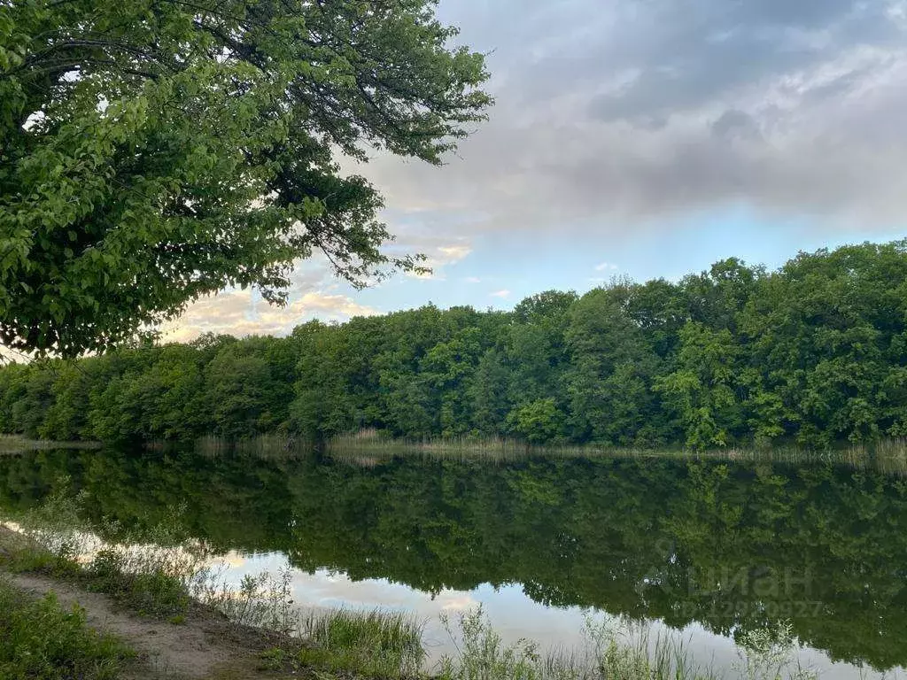 Село Нелжа Воронежская область