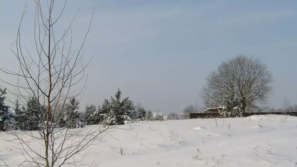 Участок в Московская область, Рузский муниципальный округ, д. ... - Фото 1