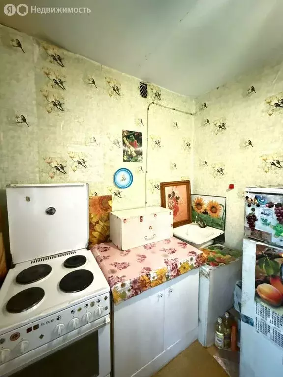 1-комнатная квартира: Белогорск, Транспортная улица, 44 (30.3 м) - Фото 0