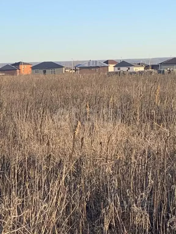 Участок в Адыгея, Майкоп ул. Маршала Мерецкова (6.57 сот.) - Фото 1