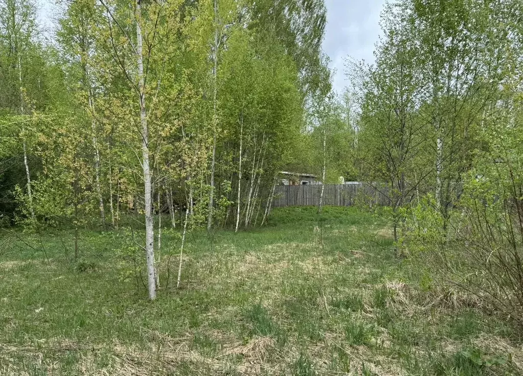 Участок в Московская область, Ступино городской округ, с. Старая Ситня ... - Фото 1