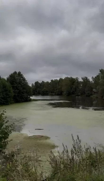 Участок в Калужская область, Жуковский муниципальный округ, с. Совхоз ... - Фото 1