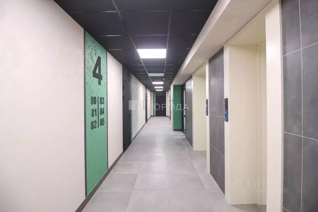 2-к кв. Алтайский край, Барнаул Просторная ул., 390к1 (39.0 м) - Фото 1