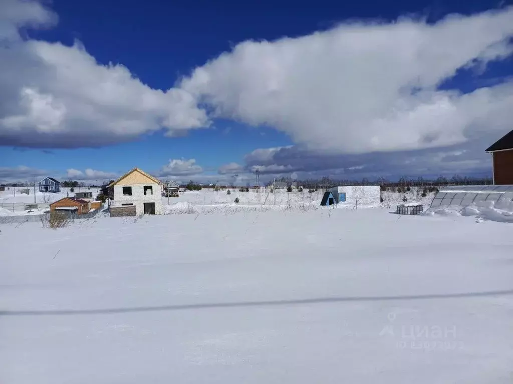 Участок в Нижегородская область, Богородский район, с. Ефимьево ул. ... - Фото 1