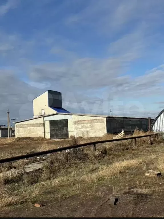 Склад в Саратовская область, Балаковский район, Натальинское ... - Фото 1