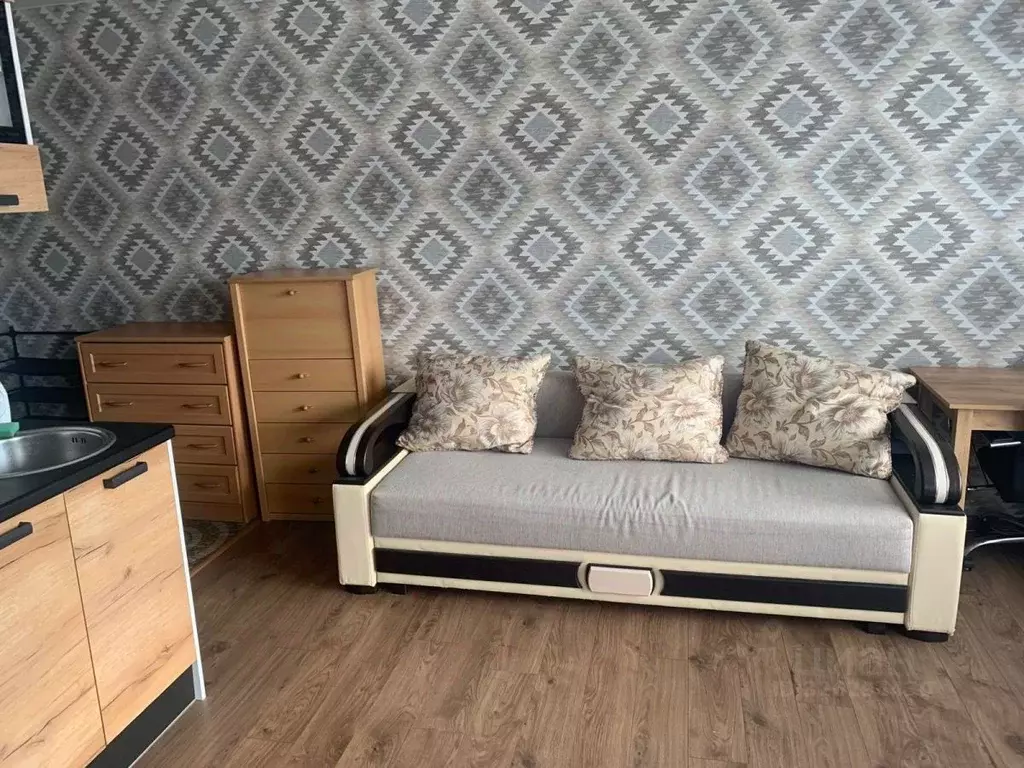 Студия Калужская область, Боровский муниципальный округ, д. Кабицыно ... - Фото 1