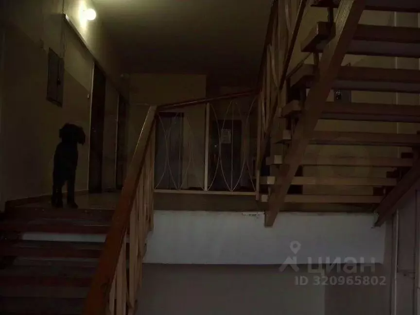 3-к кв. Курская область, Курск ул. Димитрова, 52 (140.0 м) - Фото 2