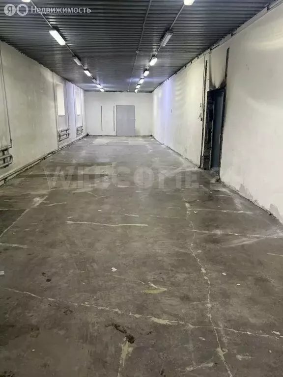 Помещение свободного назначения (146.7 м) - Фото 1