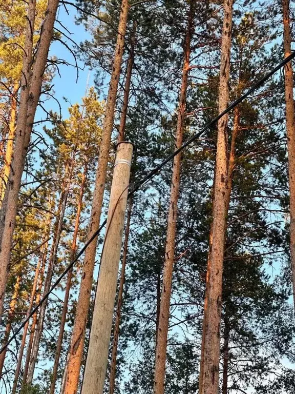 Участок в Коми, Сыктывкар городской округ, Краснозатонский пгт ул. ... - Фото 1