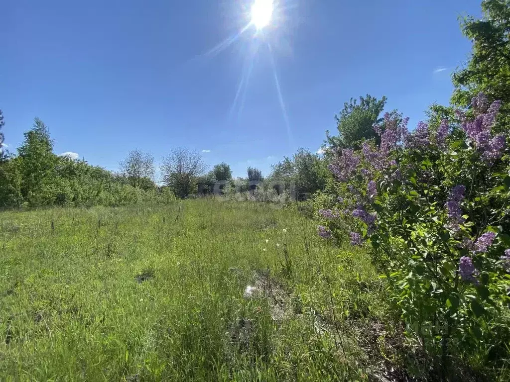 Участок в Тамбовская область, Тамбовский муниципальный округ, Чистые ... - Фото 1