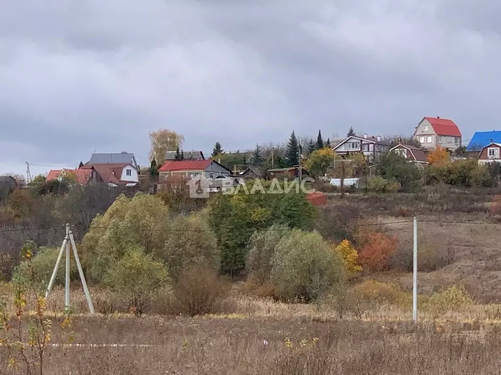 Участок в Воронежская область, Рамонский район, с. Березово  (35.0 ... - Фото 1
