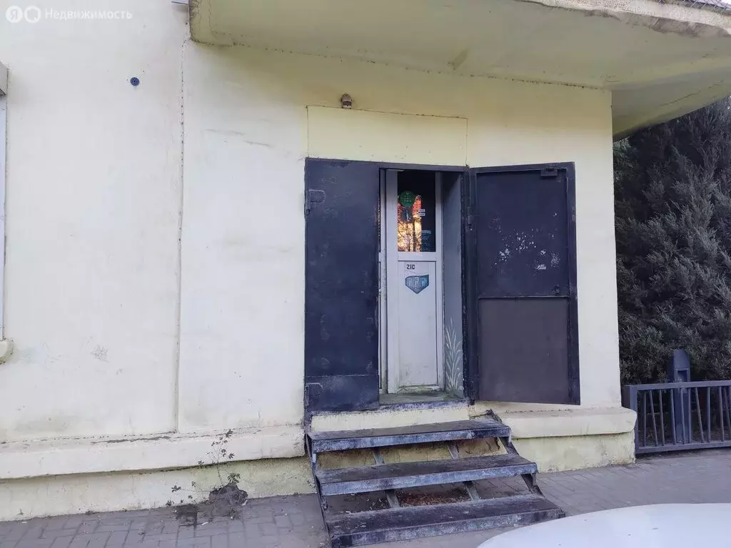 Помещение свободного назначения (46.8 м) - Фото 2