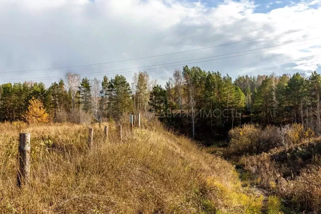 Участок в Тюменская область, Тюменский район, с. Каменка Ирбитская ул. ... - Фото 0