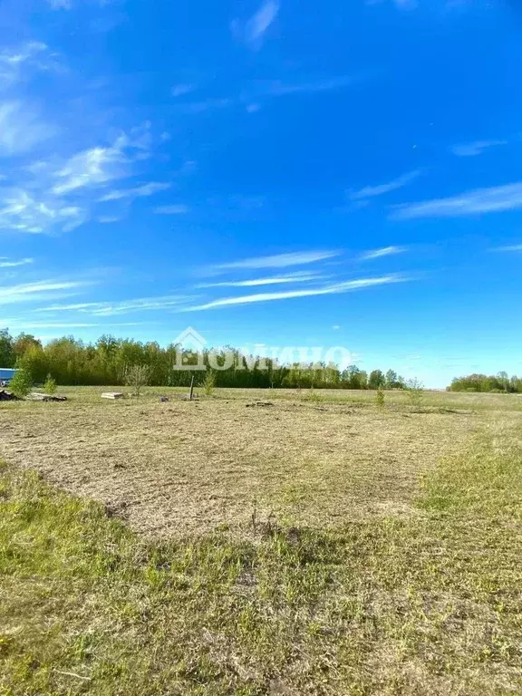 Участок в Тюменская область, Тюменский район, Кулаковское ... - Фото 0