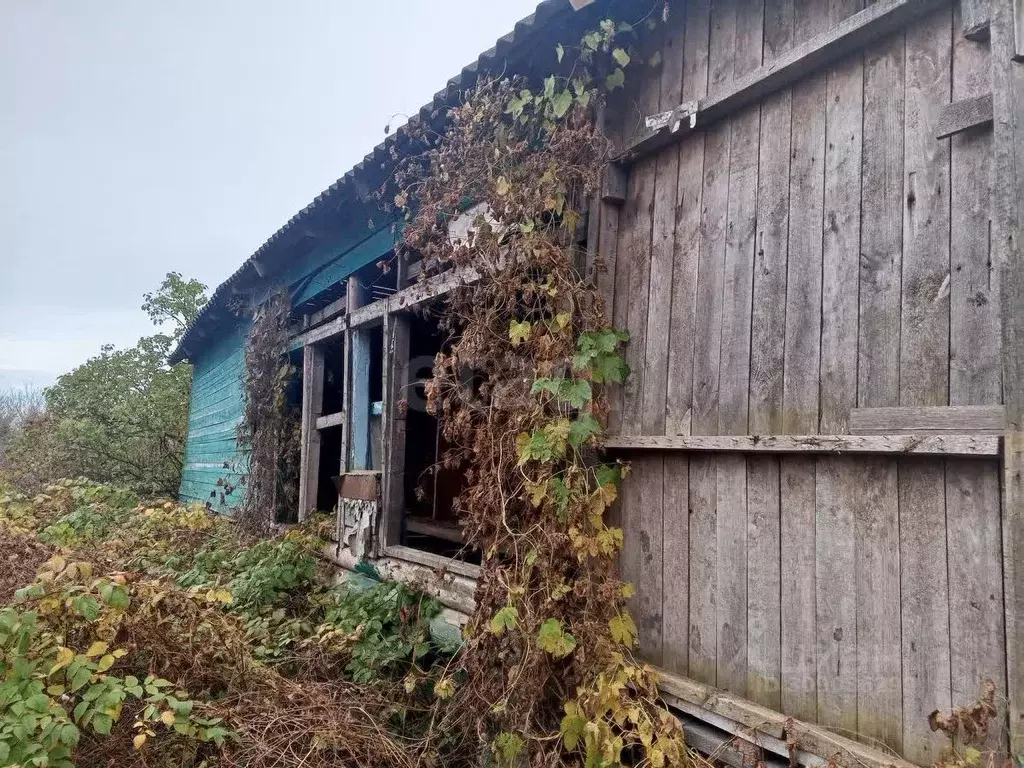 Участок в Псковская область, Островский район, Бережанская волость, д. ... - Фото 2