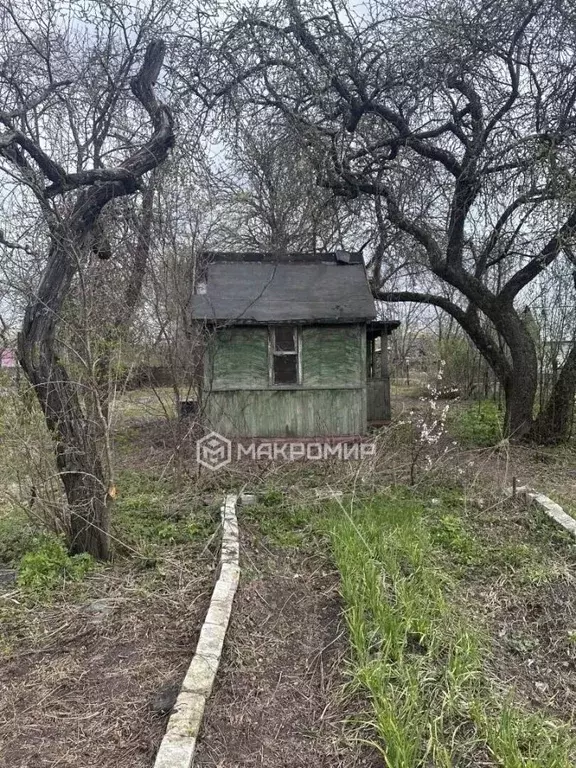 Участок в Брянская область, Брянск Мичуринец садовое общество, 298 ... - Фото 2