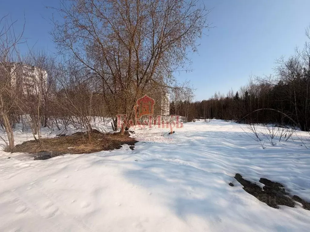 Участок в Московская область, Пересвет Сергиево-Посадский район, ул. ... - Фото 2