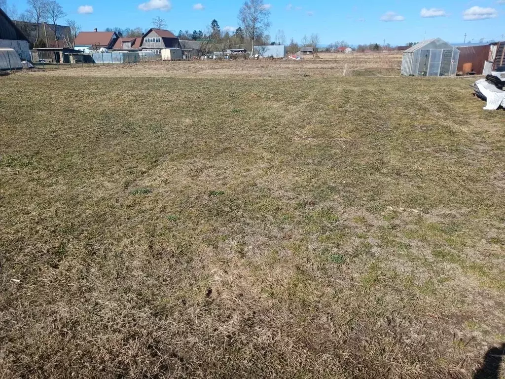 Участок в Ленинградская область, Волосовский район, д. Клопицы  (15.0 ... - Фото 2