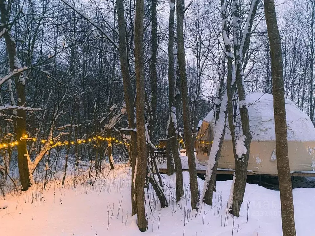 Дом в Смоленская область, Гагаринский муниципальный округ, д. Лебедки, ... - Фото 1