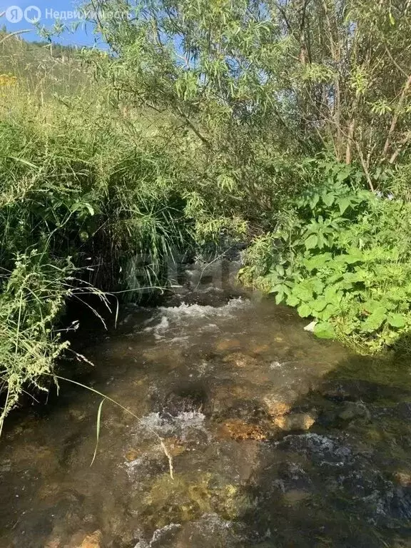 Участок в Шебалинский район, село Шебалино (7 м) - Фото 2