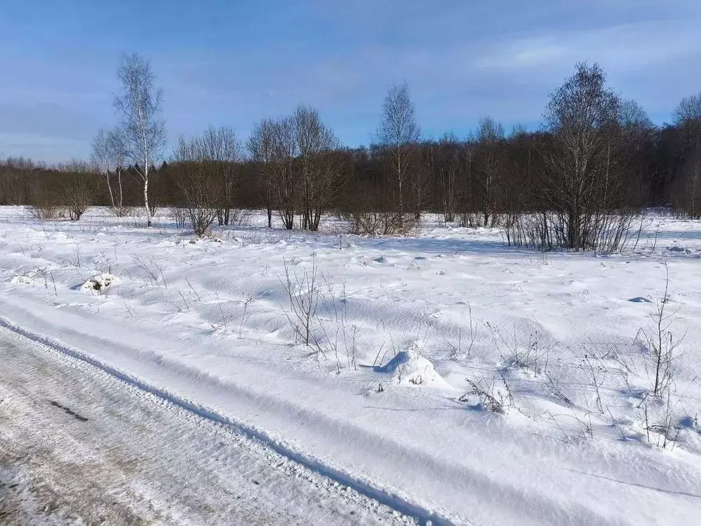 Участок в Новгородская область, Новгородский район, Трубичинское ... - Фото 1