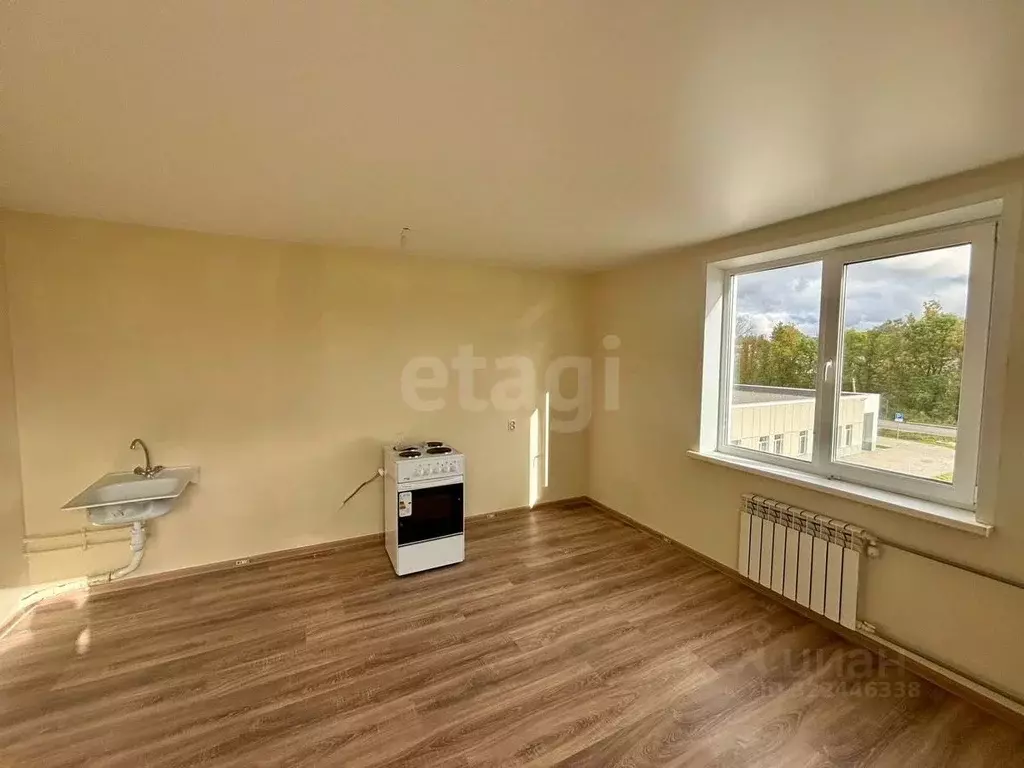 Студия Псковская область, Остров ул. Калинина, 82А (25.7 м) - Фото 1