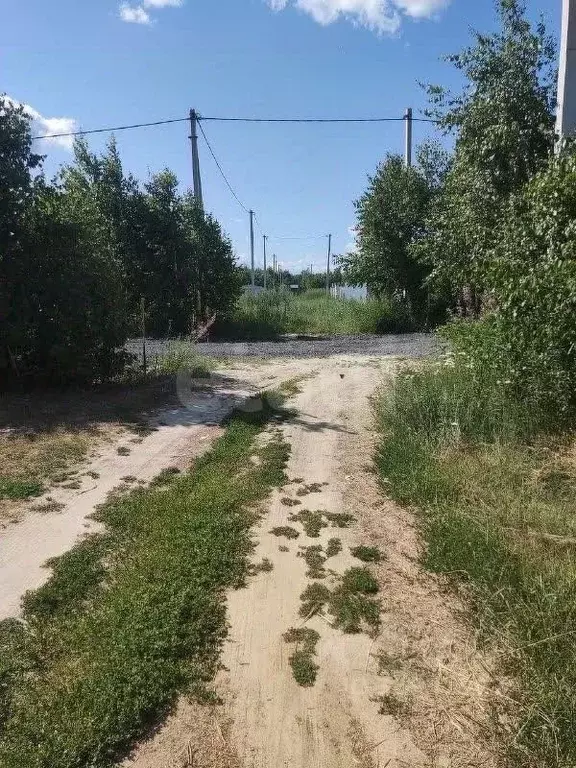 Участок в Тюменская область, Тюменский район, д. Якуши, Атлетик ... - Фото 1