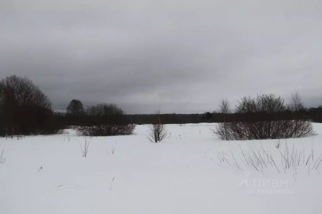 Участок в Московская область, Шаховская муниципальный округ, д. ... - Фото 1