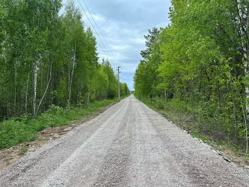 Участок в Ленинградская область, Всеволожский район, Рахьинское ... - Фото 1