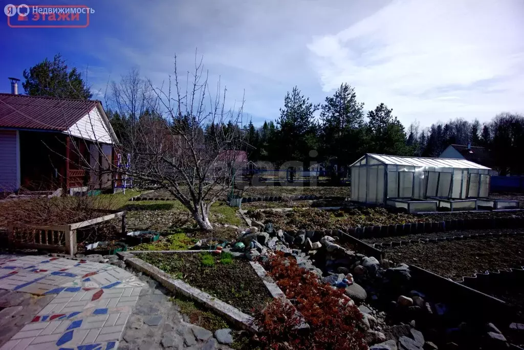 Участок в Республика Карелия, Прионежский муниципальный район, Шуйское ... - Фото 2