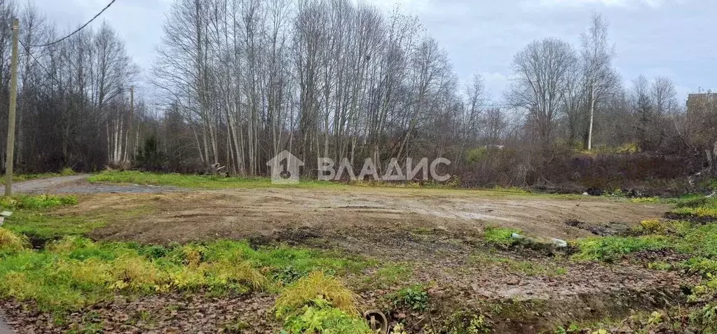 Участок в Ленинградская область, Всеволожский район, Куйвозовское ... - Фото 2