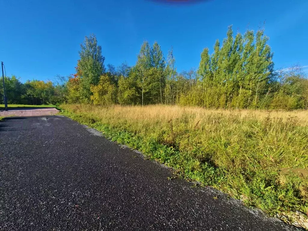 Участок в Ленинградская область, Тосненский район, Ульяновское ... - Фото 0