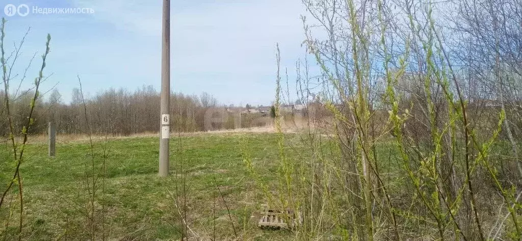 Участок в Архангельская область, Приморский муниципальный округ, ... - Фото 1