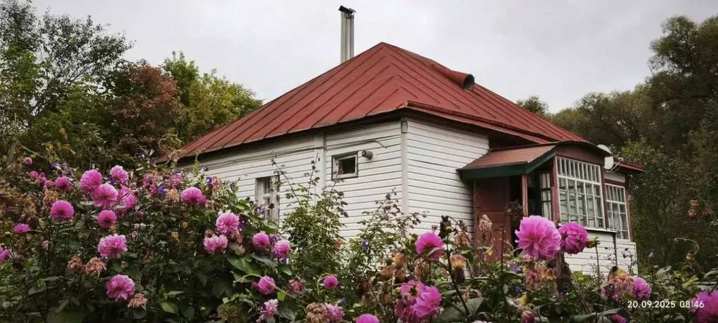 Дом в Белгородская область, Ракитянский муниципальный округ, с. ... - Фото 1