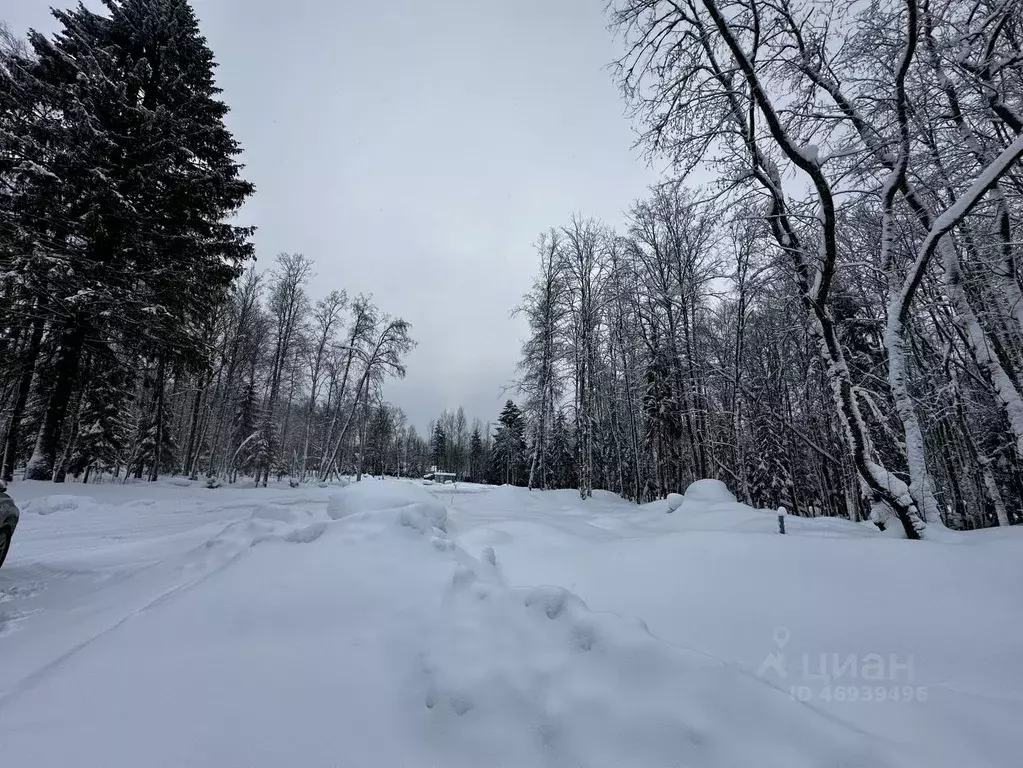 Участок в Ленинградская область, Приозерский район, пос. Сосново  (7.1 ... - Фото 1