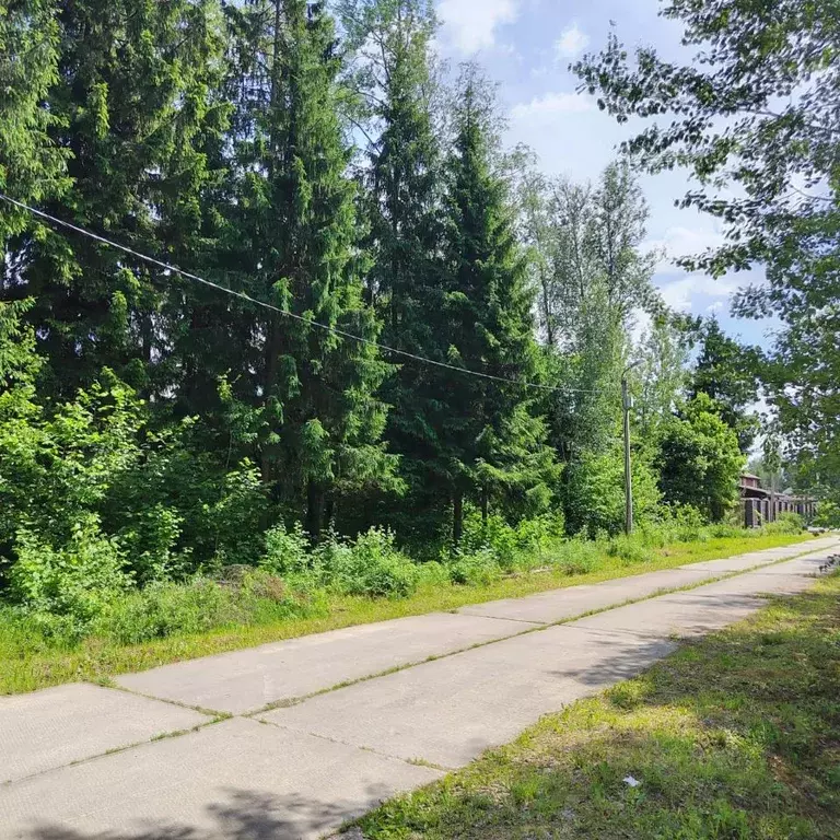 Участок в Московская область, Одинцовский городской округ, д. Сивково, ... - Фото 1