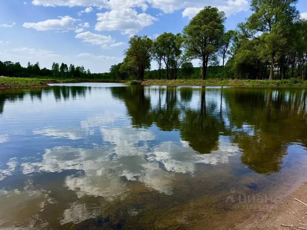 Участок в Московская область, Серпухов городской округ, д. Игнатьево, ... - Фото 1