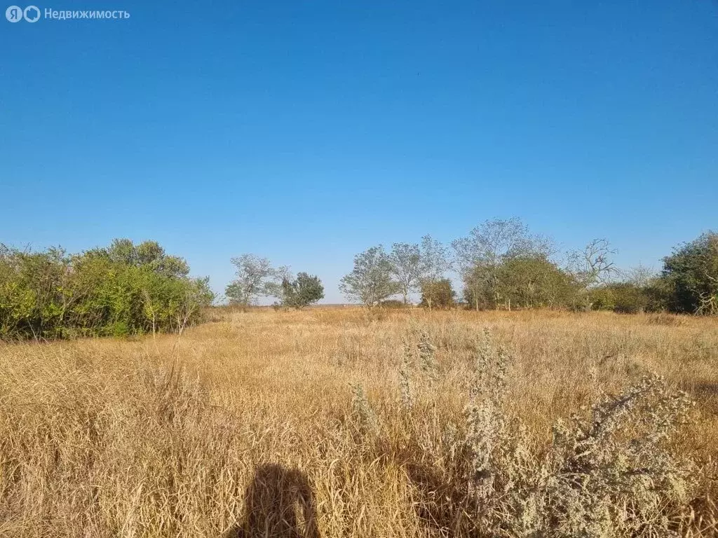 Участок в село Глафировка, Октябрьская улица (33 м) - Фото 1