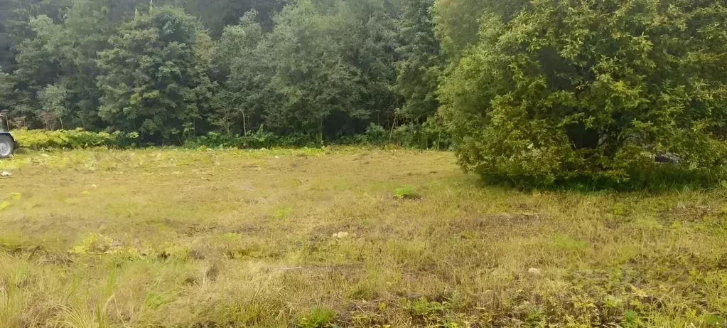 Участок в Ленинградская область, Гатчинский муниципальный округ, пос. ... - Фото 1