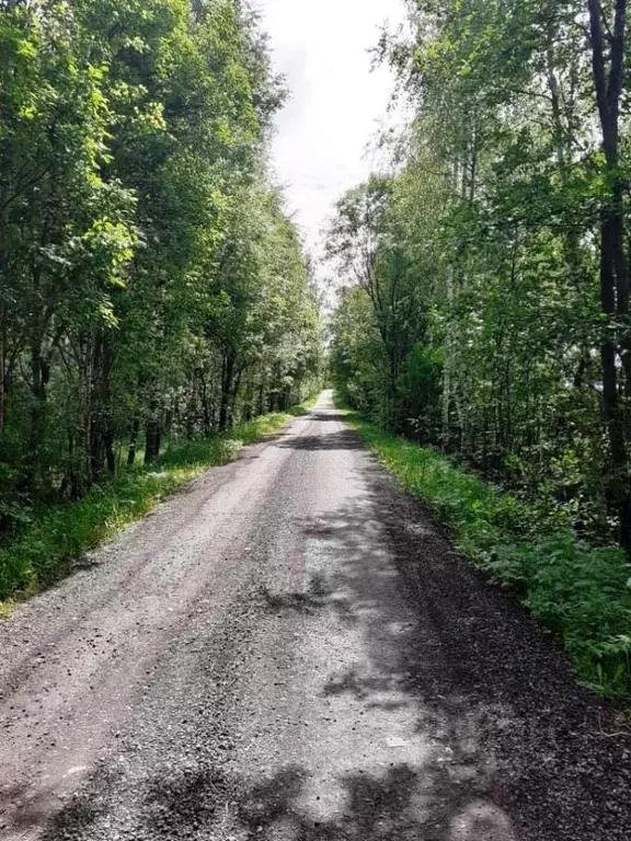 Участок в Владимирская область, Киржачский район, Бобково СНТ  (10.0 ... - Фото 0