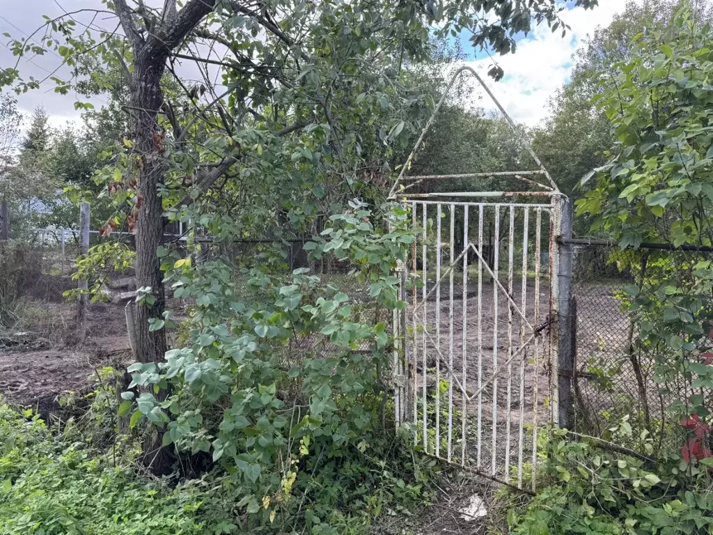 Участок в Московская область, Богородский городской округ, ТЭЦ-12 СНТ ... - Фото 1