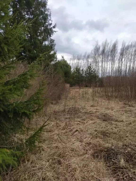 Участок в Смоленская область, Кардымовский муниципальный округ, д. ... - Фото 1