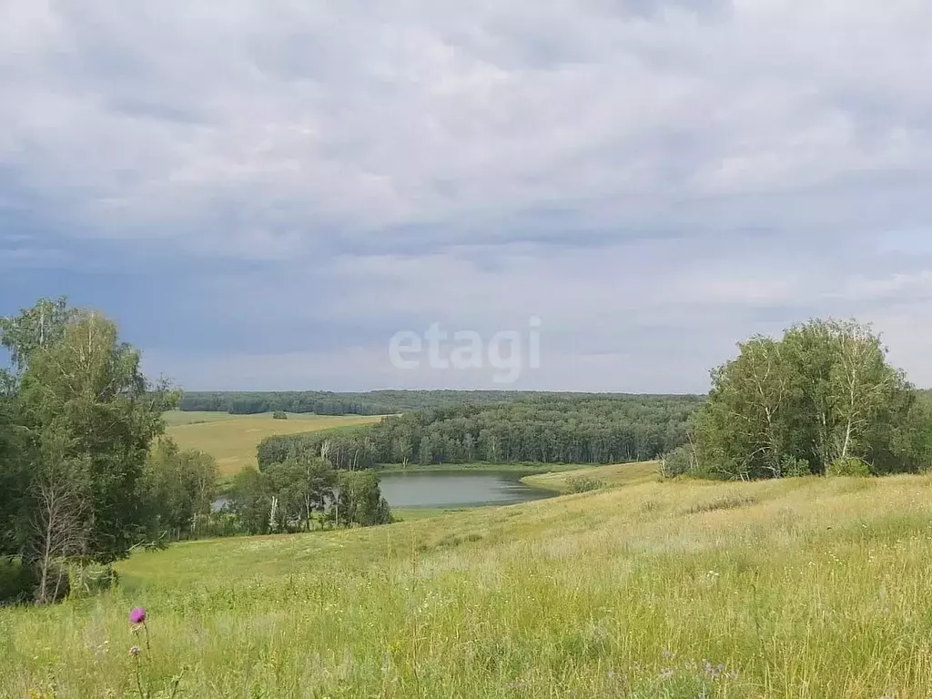 Участок в Новосибирская область, Ордынский район, пос. Петровский  ... - Фото 1