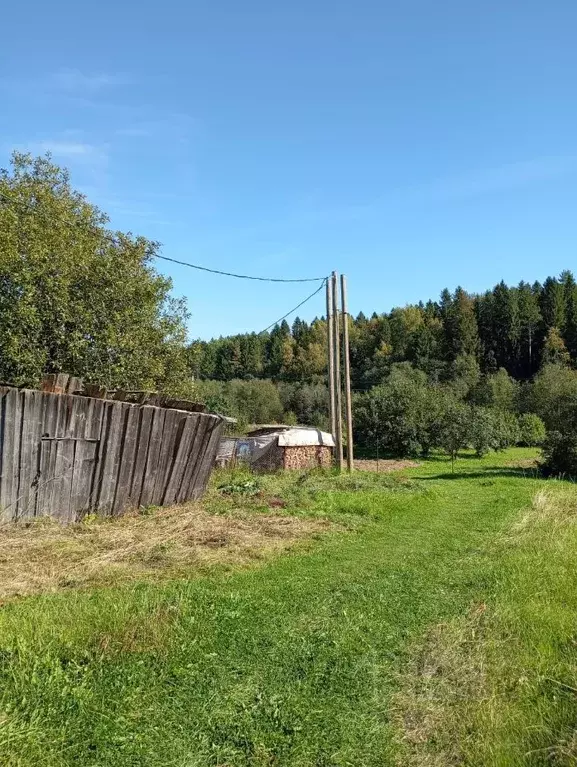 Участок в Вологодская область, Грязовецкий муниципальный округ, с. ... - Фото 1