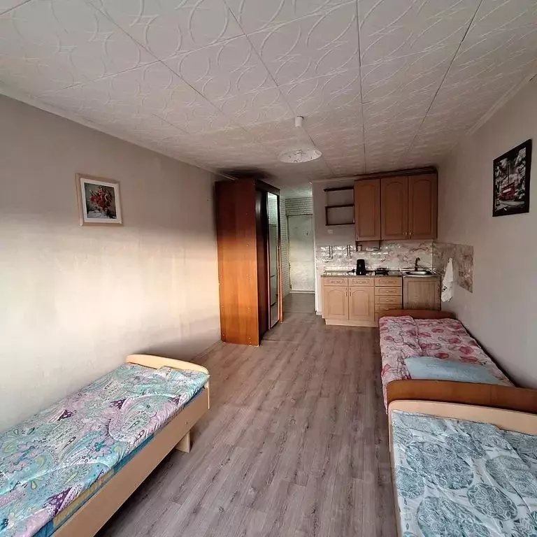 Студия Мурманская область, Апатиты Жемчужная ул., 19Б (25.0 м) - Фото 0