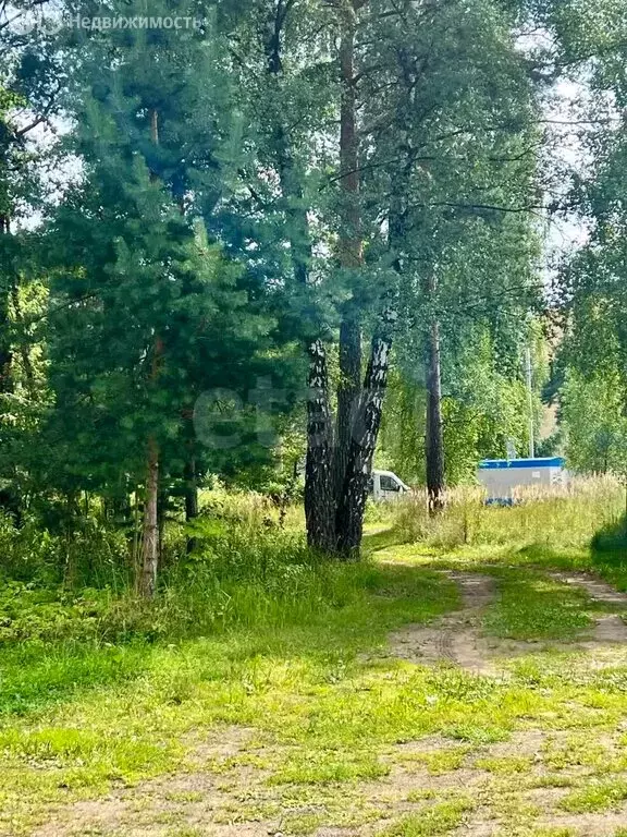 Участок в Ярославль, посёлок Шевелюха (10 м) - Фото 1