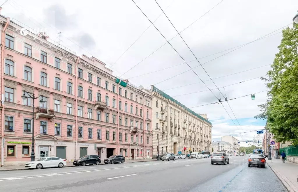 Помещение свободного назначения в Санкт-Петербург Суворовский просп., ... - Фото 2