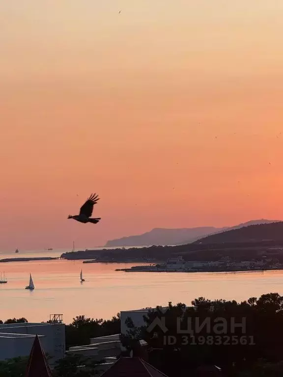 1-к кв. Краснодарский край, Геленджик Крымская ул., 22к22 (50.0 м) - Фото 2