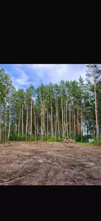 Участок 16 сот. (ИЖС) - Фото 0